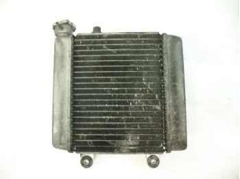 Radiateur eau HONDA FES 125 2003-2006 PANTHEON