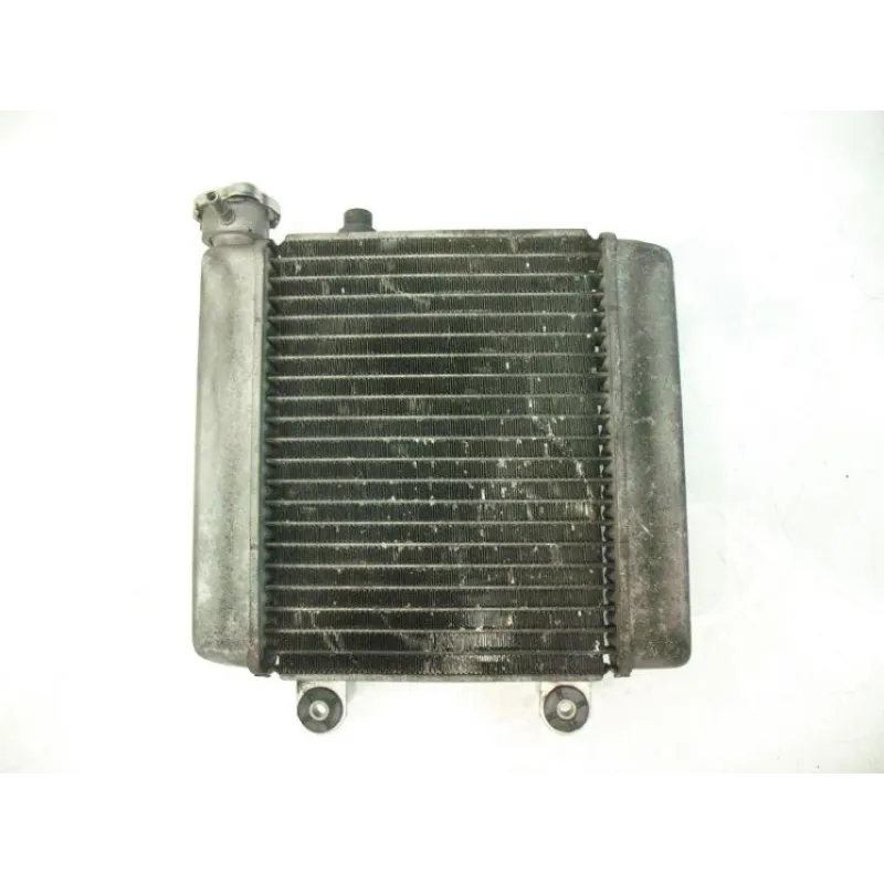 Radiateur eau HONDA FES 125 2003-2006 PANTHEON