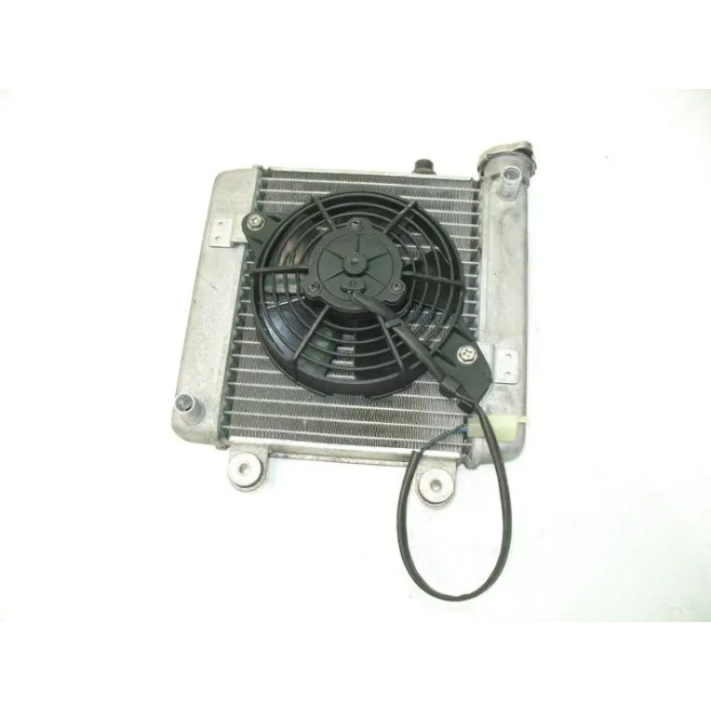 Radiateur eau HONDA FES 125 2003-2006 PANTHEON