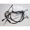 Faisceau electrique DAELIM S2 SQ 125 2006-2008 CARBU