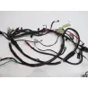 Faisceau electrique DAELIM S2 SQ 125 2006-2008 CARBU