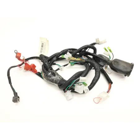 Faisceau electrique LINTEX BALLISTIC 50 2014