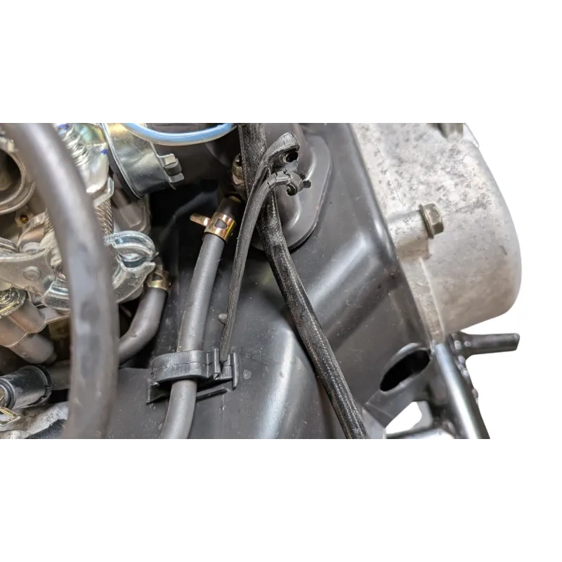 Moteur LAZIO COMET 50 2018 - 2026