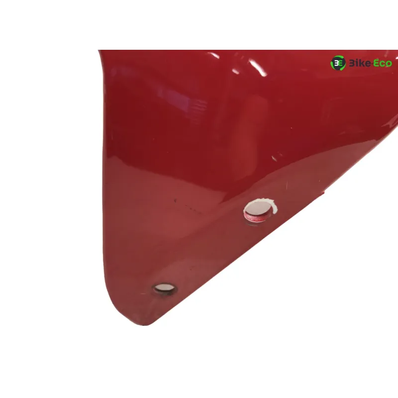 Garde boue avant TRIUMPH SPEED TRIPLE 1050 2005-2007