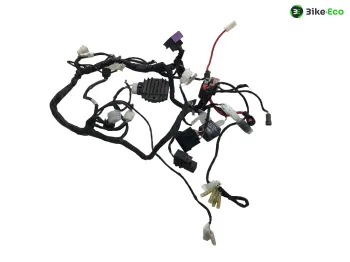 Faisceau electrique BETA ENDURO RR 125 2018-2020 4T