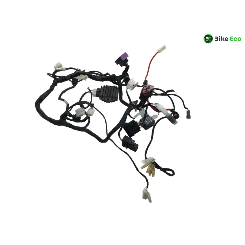 Faisceau electrique BETA ENDURO RR 125 2018-2020 4T
