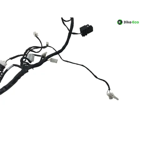 Faisceau electrique BETA ENDURO RR 125 2018-2020 4T