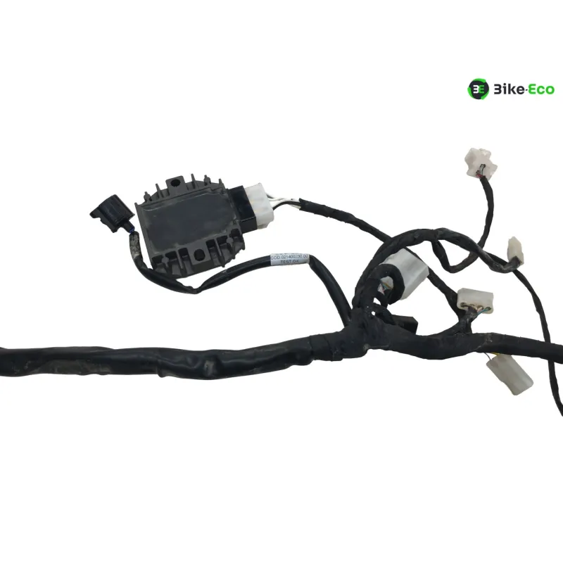 Faisceau electrique BETA ENDURO RR 125 2018-2020 4T
