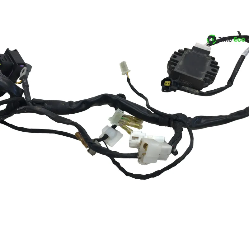 Faisceau electrique BETA ENDURO RR 125 2018-2020 4T