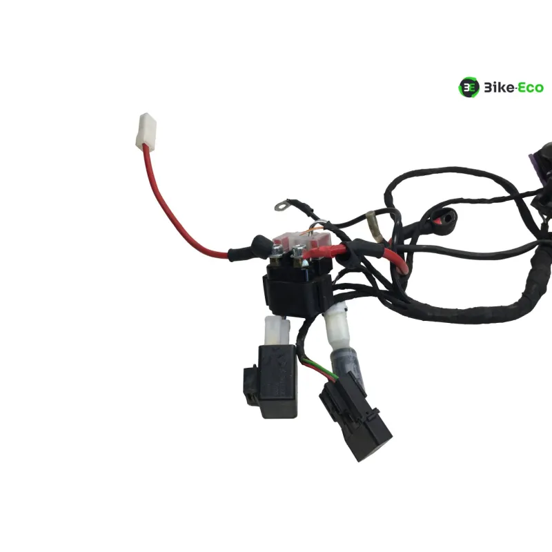 Faisceau electrique BETA ENDURO RR 125 2018-2020 4T