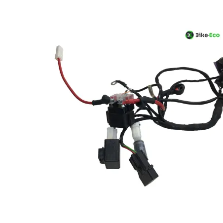 Faisceau electrique BETA ENDURO RR 125 2018-2020 4T