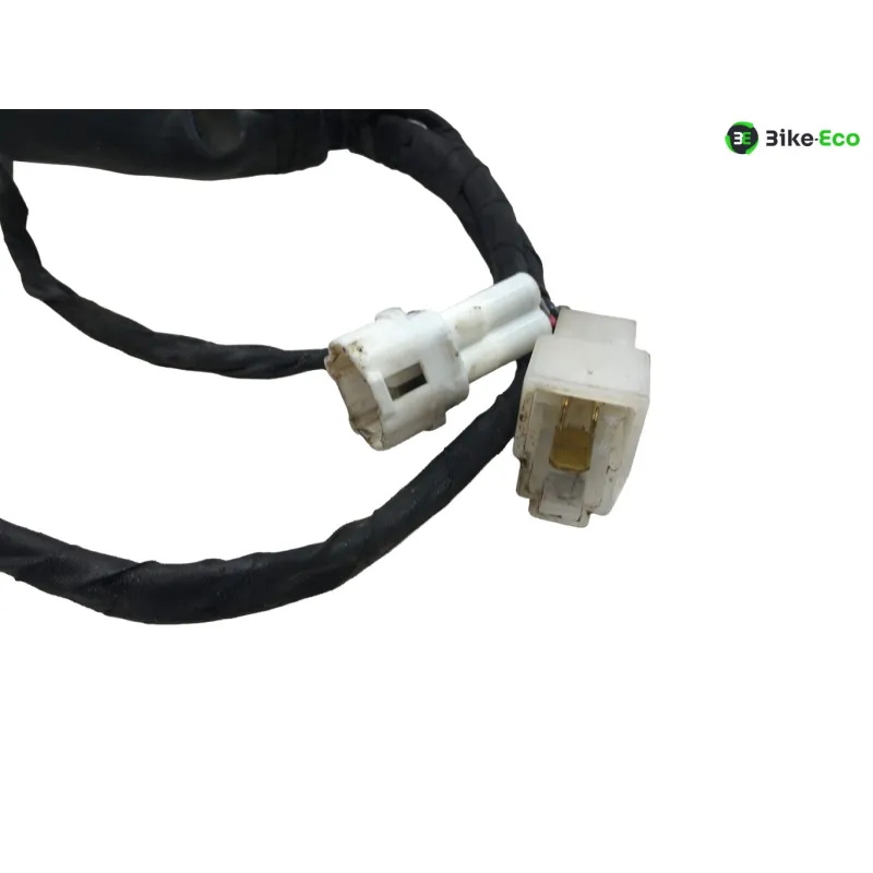 Faisceau electrique BETA ENDURO RR 125 2018-2020 4T
