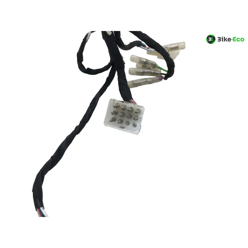 Faisceau electrique BETA ENDURO RR 125 2018-2020 4T