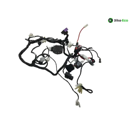 Faisceau electrique BETA ENDURO RR 125 2018-2020 4T