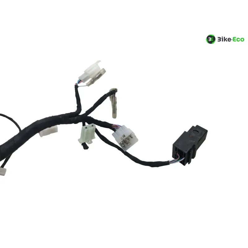 Faisceau electrique BETA ENDURO RR 125 2018-2020 4T