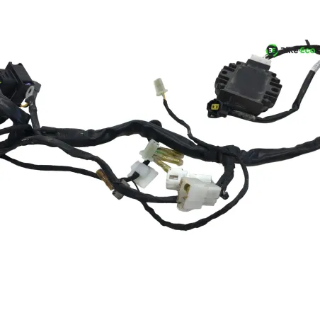 Faisceau electrique BETA ENDURO RR 125 2018-2020 4T