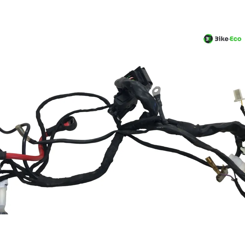 Faisceau electrique BETA ENDURO RR 125 2018-2020 4T
