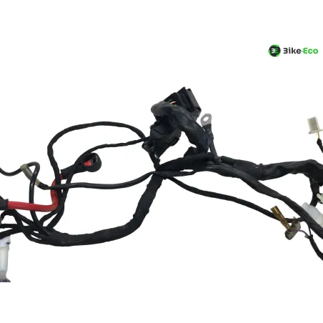 Faisceau electrique BETA ENDURO RR 125 2018-2020 4T