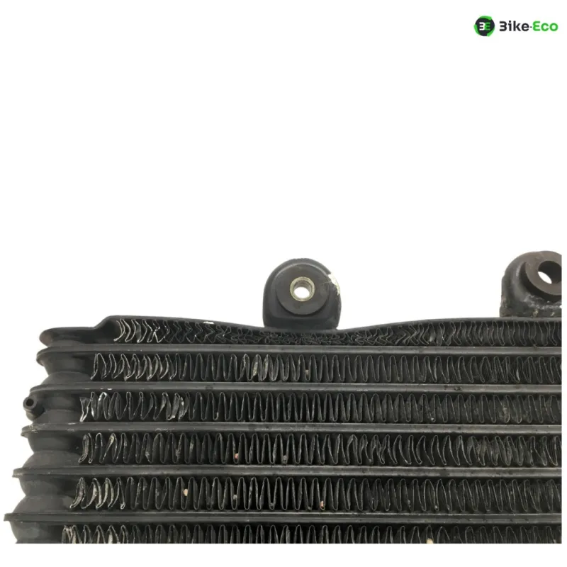 Radiateur huile SUZUKI GSF 1200 1996-2000 BANDIT