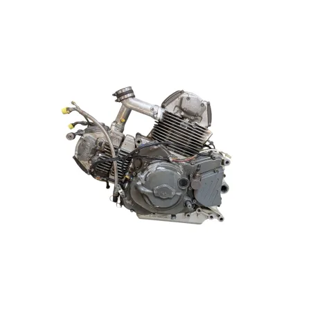 Moteur DUCATI MONSTER 750 1996 - 2002