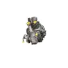 Moteur DUCATI MONSTER 750 1996 - 2002
