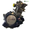 Moteur BETA ENDURO RR 125 2018-2020 4T Moteur BETA ENDURO RR 125 2018-2020 4T