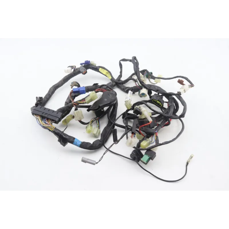 Faisceau electrique YAMAHA TDM 900 2002 - 2011