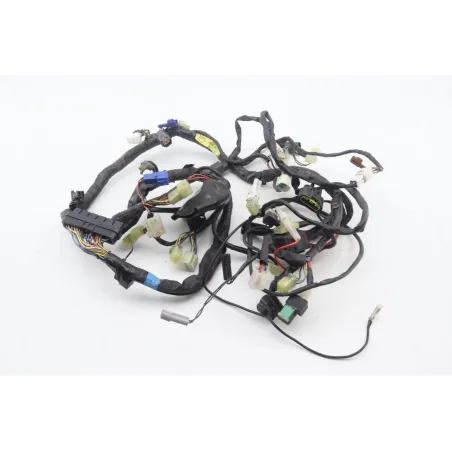 Faisceau electrique YAMAHA TDM 900 2002 - 2011