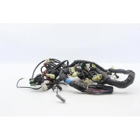 Faisceau electrique YAMAHA TDM 900 2002 - 2011