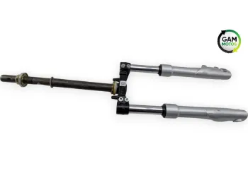 Fourche complete YADEA SXT 50 GEKKO V3 2018 - 2024