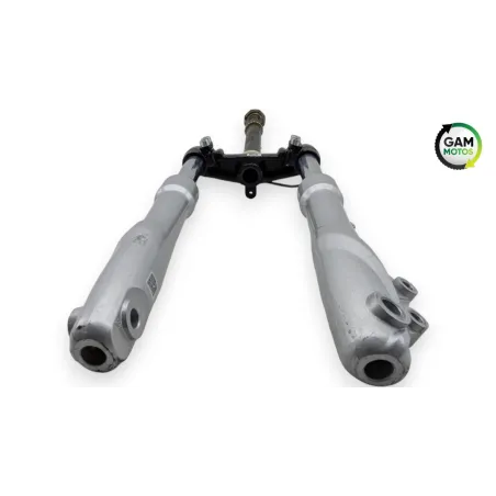 Fourche complete YADEA SXT 50 GEKKO V3 2018 - 2024