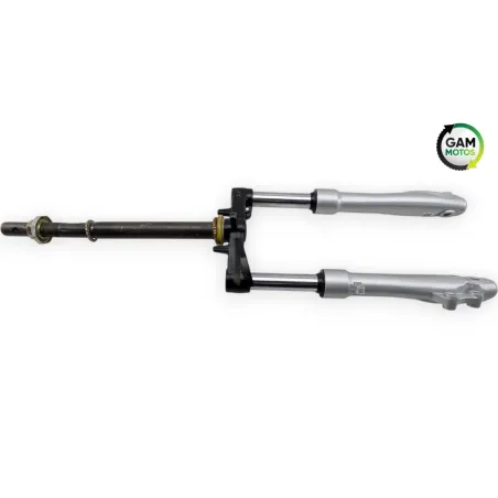 Fourche complete YADEA SXT 50 GEKKO V3 2018 - 2024