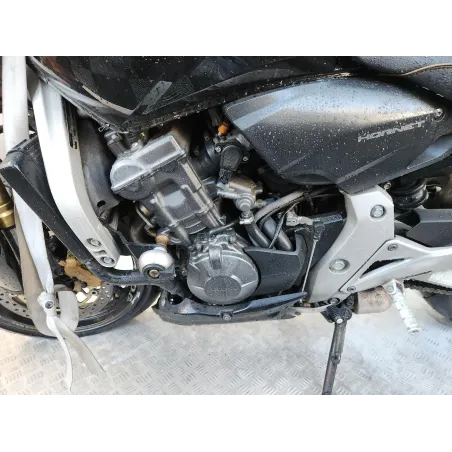 HONDA CB 600 HORNET