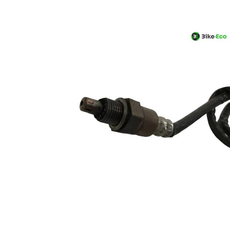 Sonde lambda YAMAHA XSR 900 2022-2026