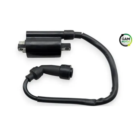 Bobine allumage KEEWAY K LIGHT 125 2020 - 2026