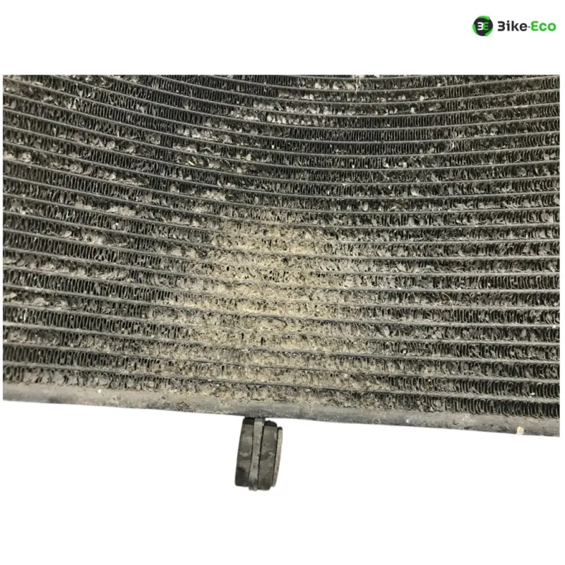 Radiateur eau YAMAHA FJR 1300 2006-2012