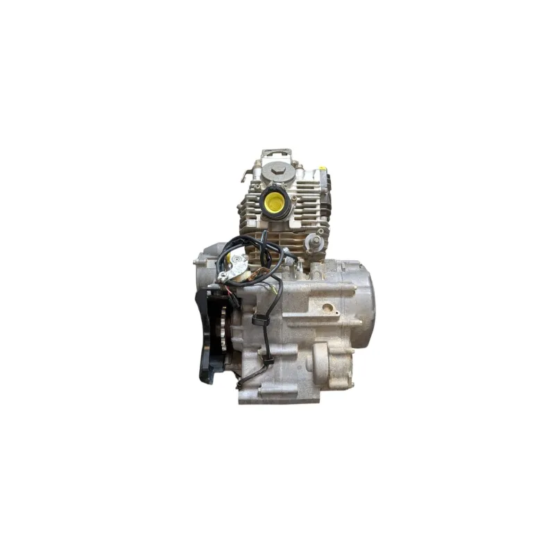 Moteur YAMAHA YFM 250 RAPTOR 2008 - 2014