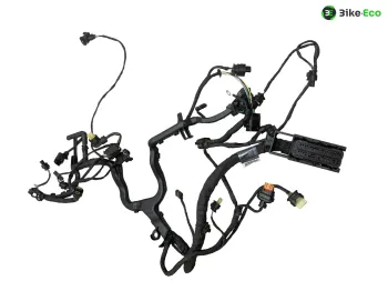 Faisceau electrique BMW R 1250 RT 2019-2024