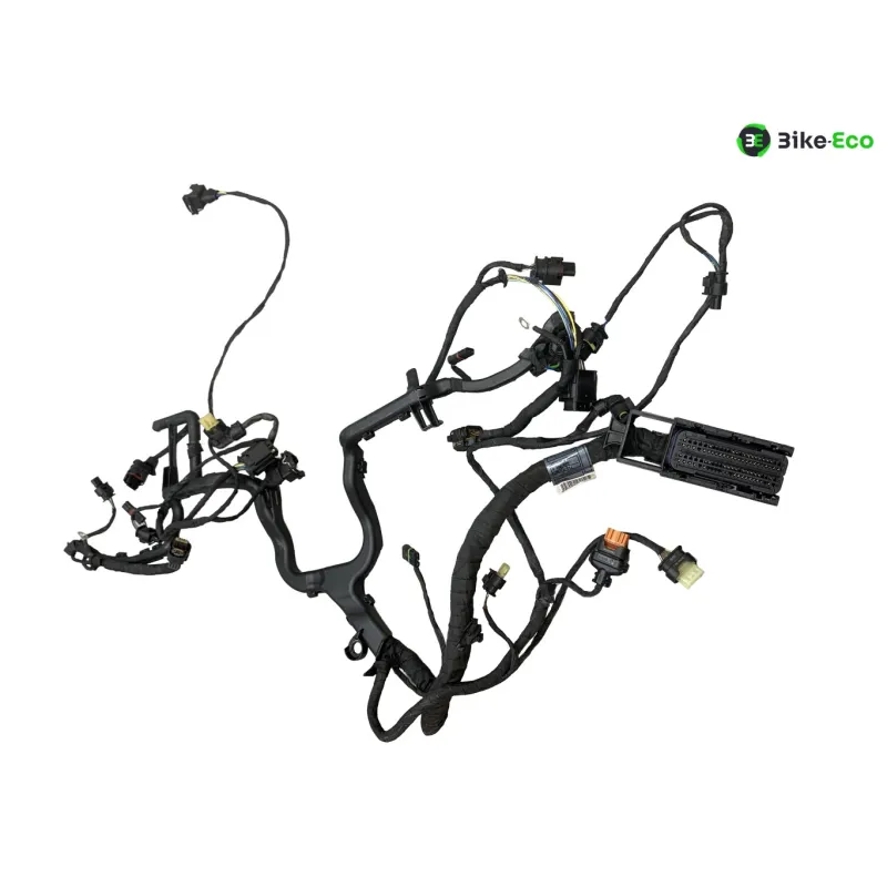 Faisceau electrique BMW R 1250 RT 2019-2024
