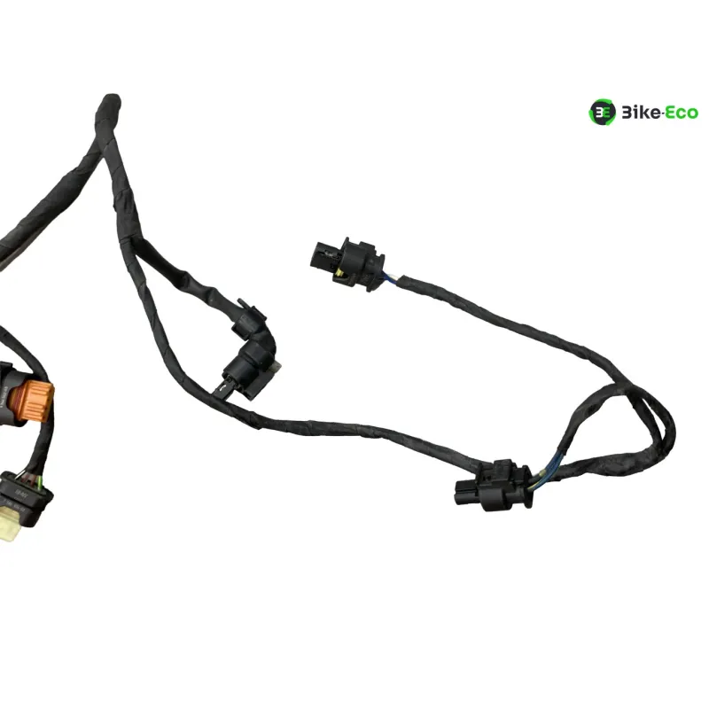 Faisceau electrique BMW R 1250 RT 2019-2024