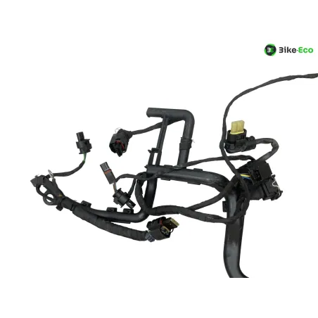 Faisceau electrique BMW R 1250 RT 2019-2024