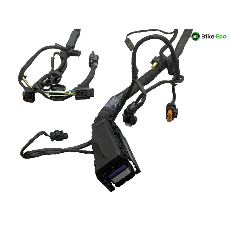 Faisceau electrique BMW R 1250 RT 2019-2024