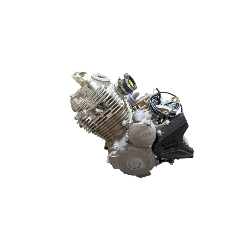 Moteur YAMAHA YFM 250 RAPTOR 2008 - 2014