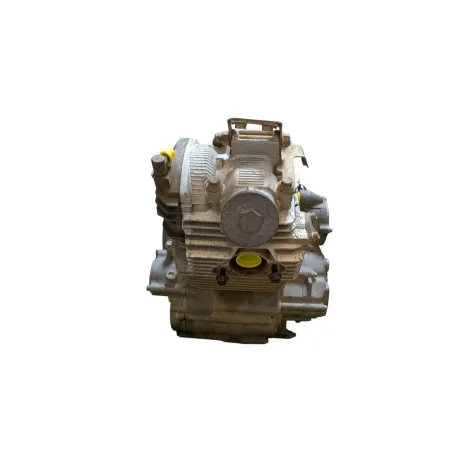 Moteur YAMAHA YFM 250 RAPTOR 2008 - 2014