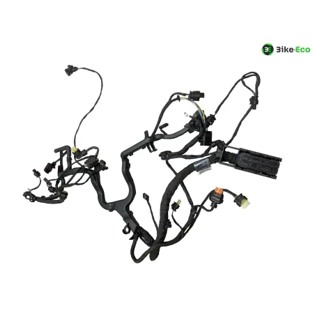 Faisceau electrique BMW R 1250 RT 2019-2024