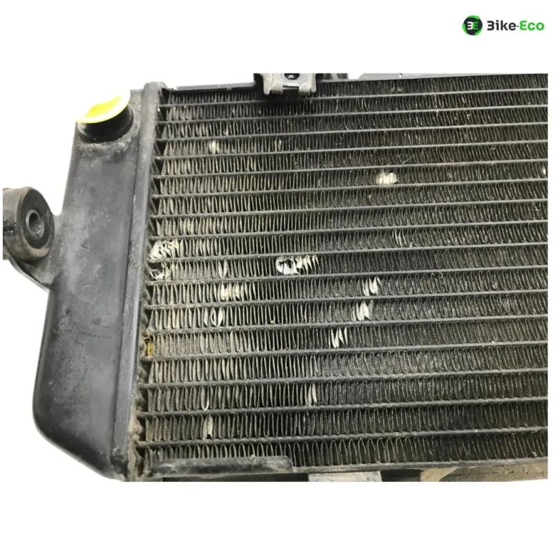 Radiateur eau YAMAHA TDM 900 2007-2010 ABS