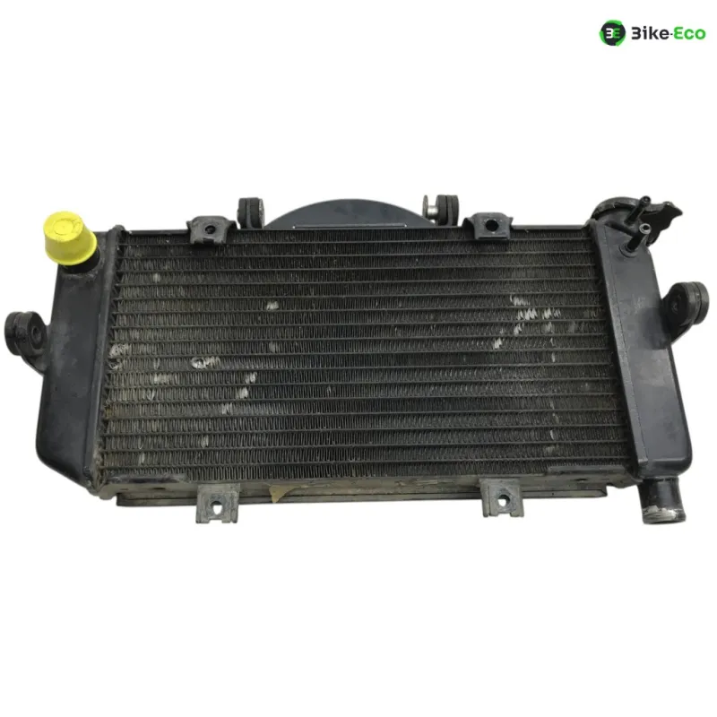 Radiateur eau YAMAHA TDM 900 2007-2010 ABS