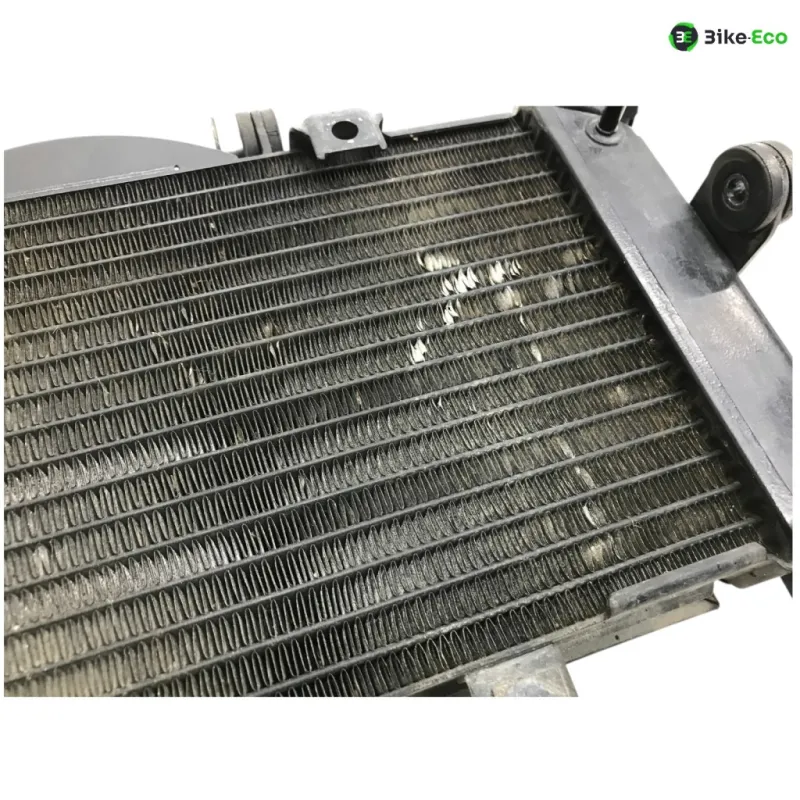 Radiateur eau YAMAHA TDM 900 2007-2010 ABS