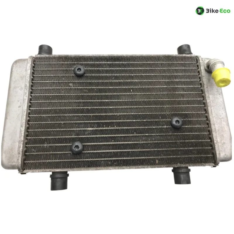 Radiateur eau YAMAHA YPR 125 2014-2017 XMAX