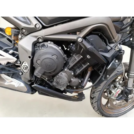 TRIUMPH 765 RS